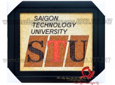 Tranh Gạo Logo Trường Đại Học STU